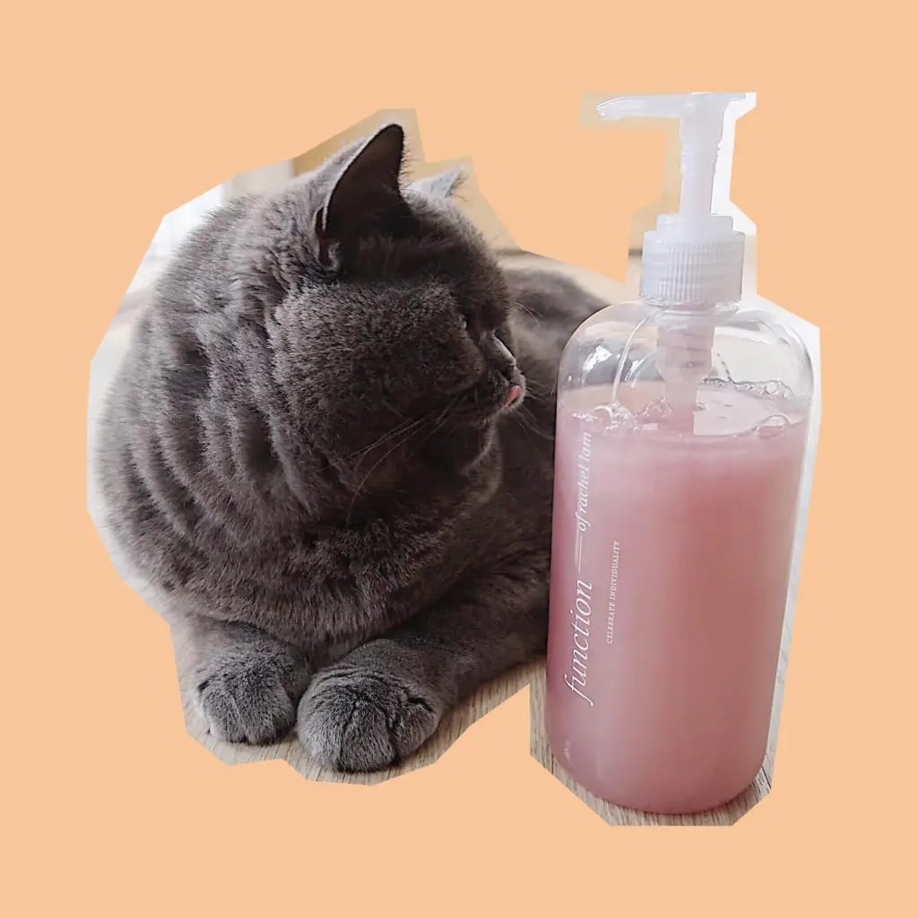 在一瓶洗髮水旁邊的灰貓